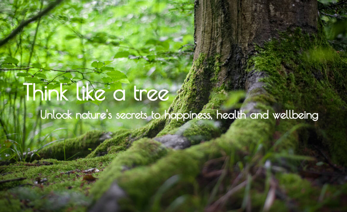 Tree-root.jpg